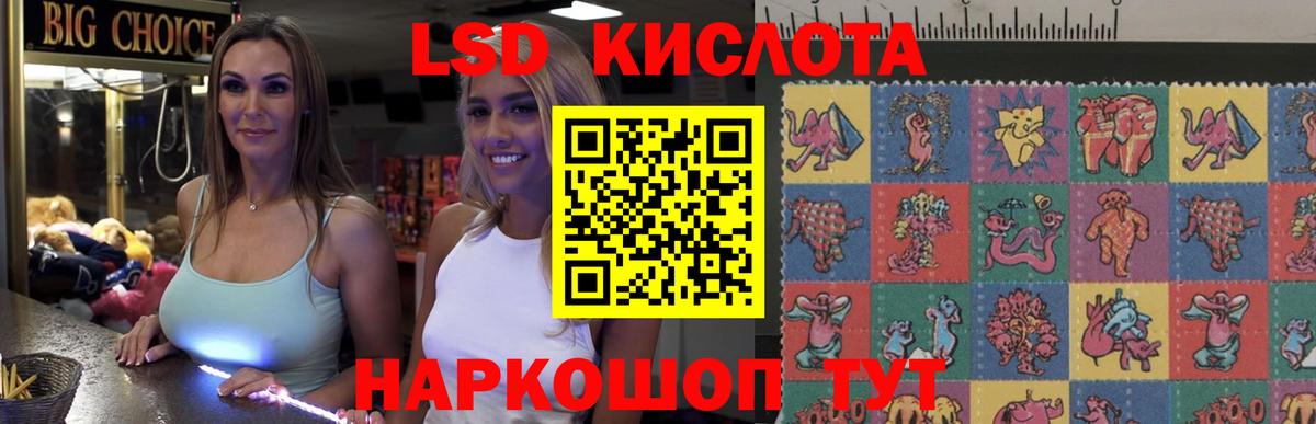 ЛСД экстази кислота  ЛСД экстази кислота  гидра как войти  Вход с VPN  Щёлково  Лсд 25 экстази 