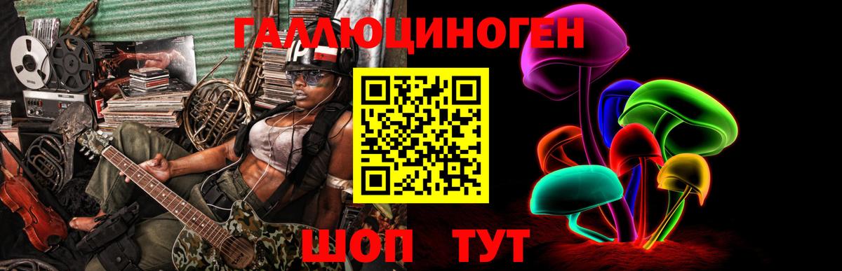Псилоцибиновые грибы Cubensis  Вход с VPN  Щёлково 